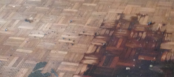 Decomposition Cleanup & Decontamination