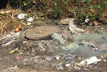 Sewage Cleanup